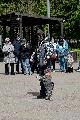 
053.JPG							