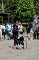 
082.JPG							