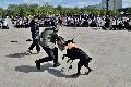
109.JPG							