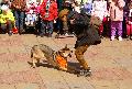 
044.JPG							