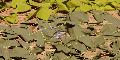 
051.JPG							