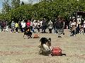 
009.JPG							