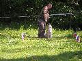 
059.JPG							