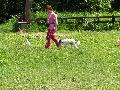 
060.JPG							