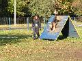 
053.JPG							