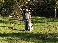 
061.JPG							