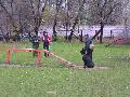 
006.JPG							