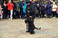 
040.JPG							