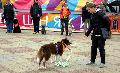 
060.JPG							