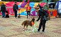 
061.JPG							