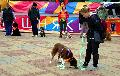 
062.JPG							
