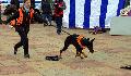 
071.JPG							