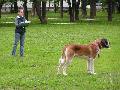 
033.JPG							