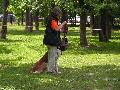 
042.JPG							