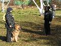 
032.JPG							