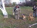
080.JPG							
