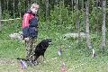 
060.JPG							
