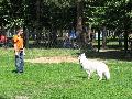 
025.JPG							
