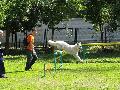 
043.JPG							