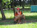 
061.JPG							