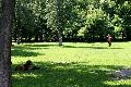 
070.JPG							