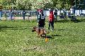 
070.JPG							