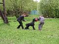 
047.JPG							