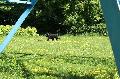 
047.JPG							