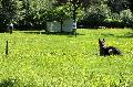 
071.JPG							