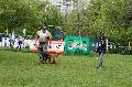 
048.JPG							