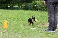 
070.JPG							