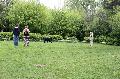 
041.JPG							