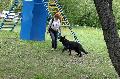
011.JPG							