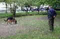 
049.JPG							