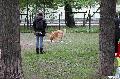 
076.JPG							