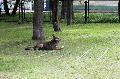 
051.JPG							