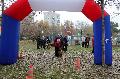 
080.JPG							