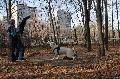 
080.JPG							