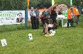 
053.JPG							