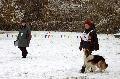 
060.JPG							