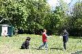 
060.JPG							