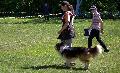 
060.JPG							