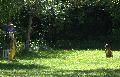 
062.JPG							