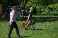 
070.JPG							