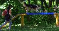 
080.JPG							