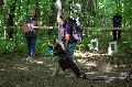 
046.JPG							