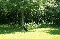 
045.JPG							