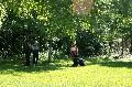 
070.JPG							