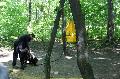 
040.JPG							