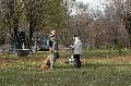 
031.JPG							